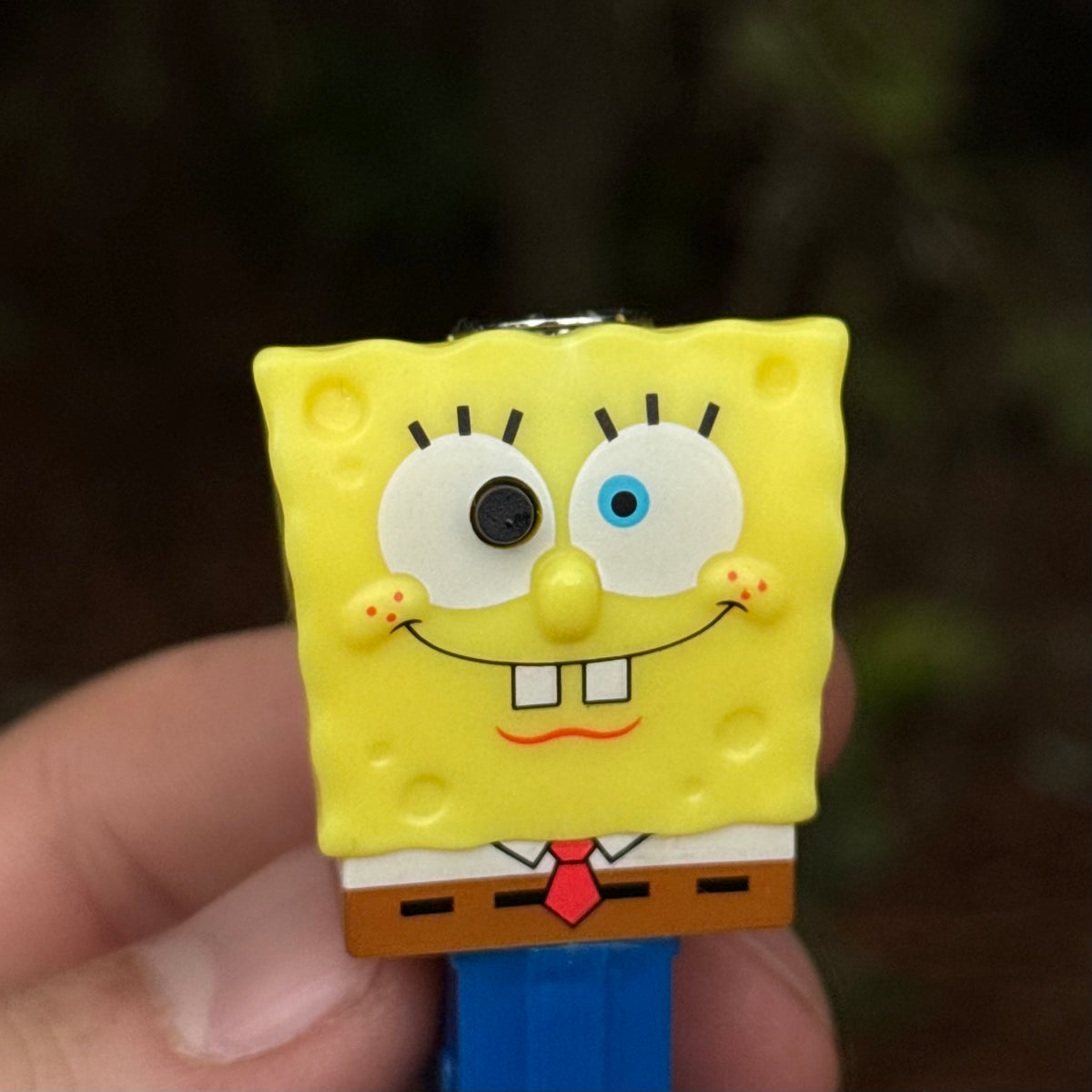 Spongebob PEZjamin™ | Toon