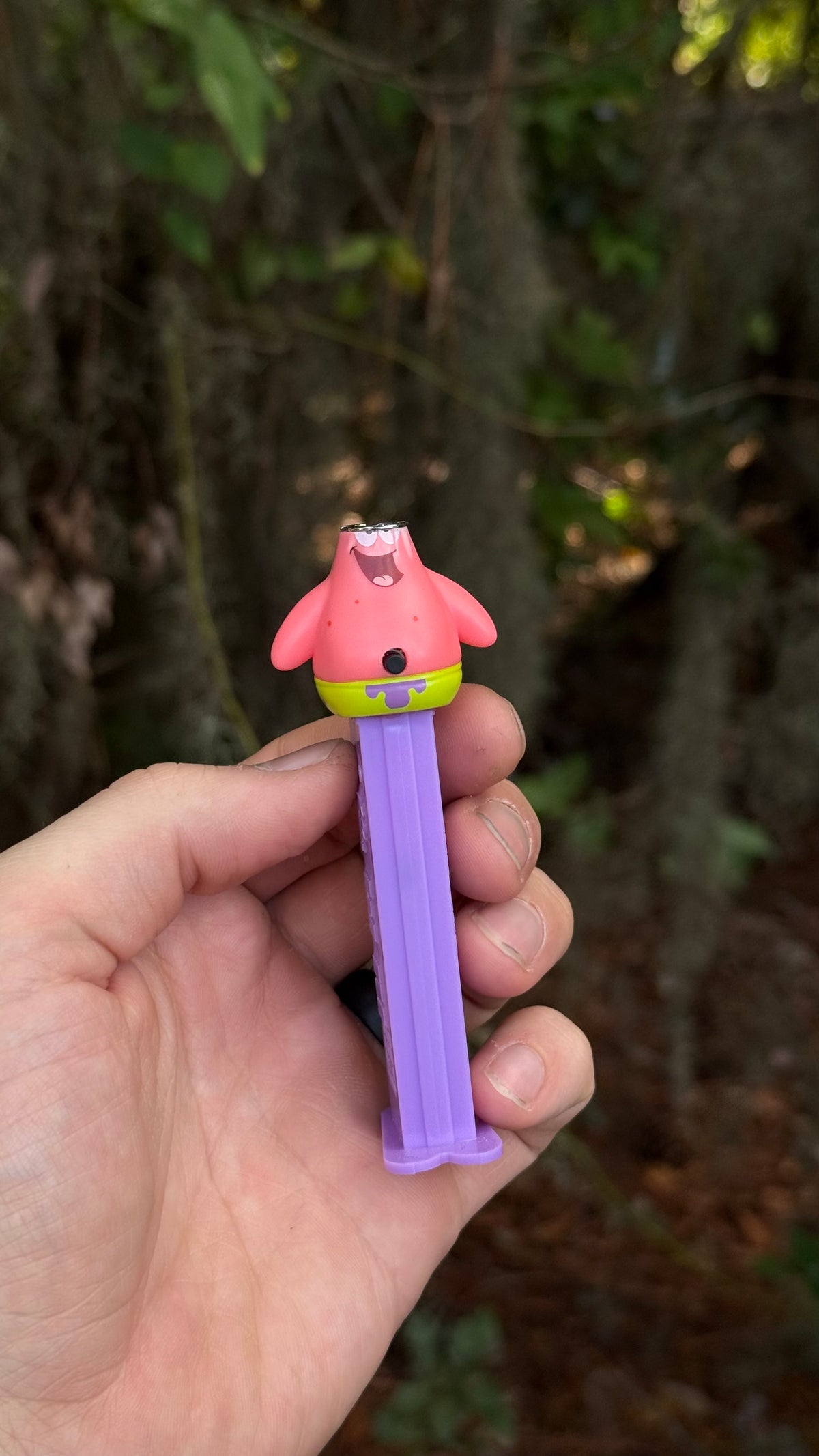 Patrick Star PEZjamin™ | Toon