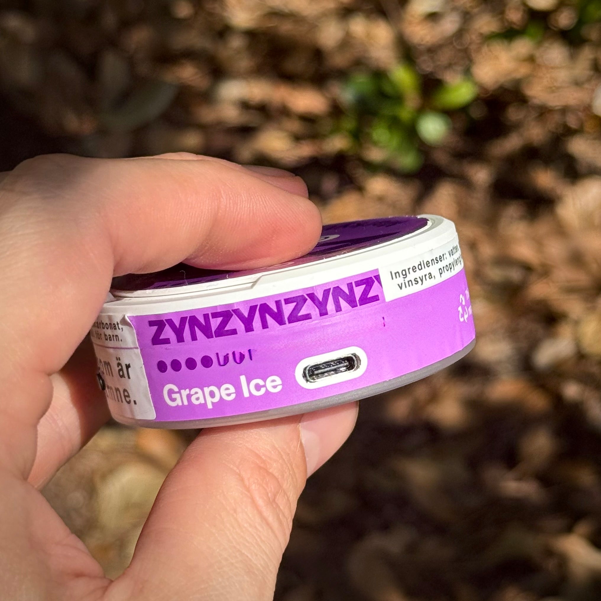 ZYNJAMIN™ – PEN PALS™ COLLECTION 510