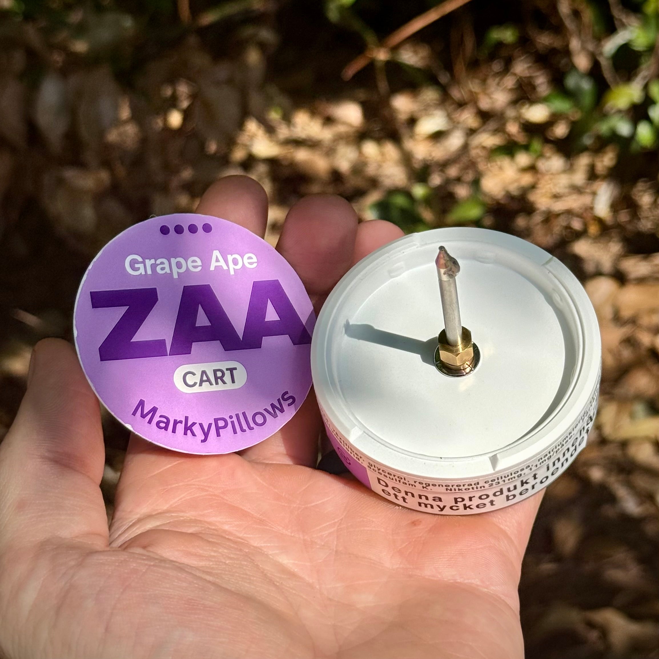 ZYNJAMIN™ – PEN PALS™ COLLECTION 510