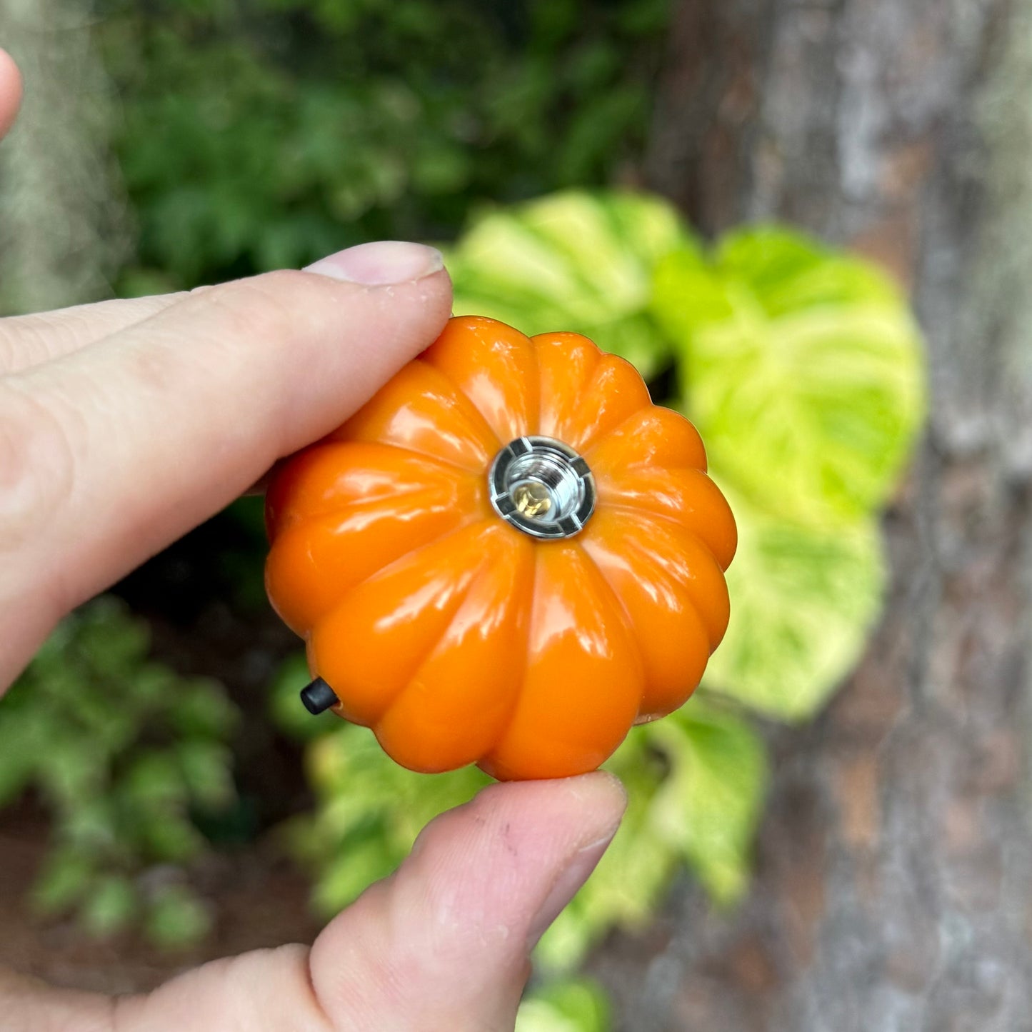 Pumpkin Light™ – Pen Pals™ Collection