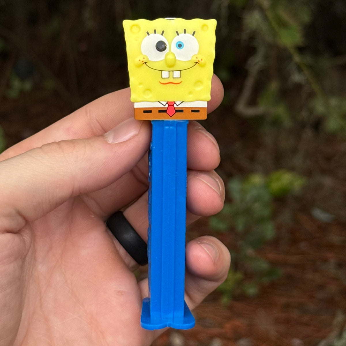 Spongebob PEZjamin™ | Toon